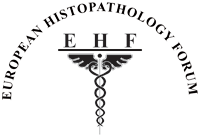 EUROPEAN HISTOPATHOLOGY FORUM (EHF)